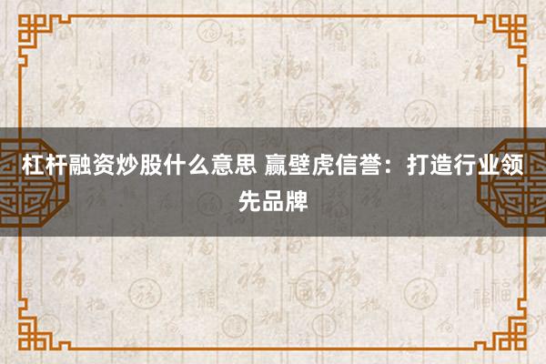 杠杆融资炒股什么意思 赢壁虎信誉：打造行业领先品牌