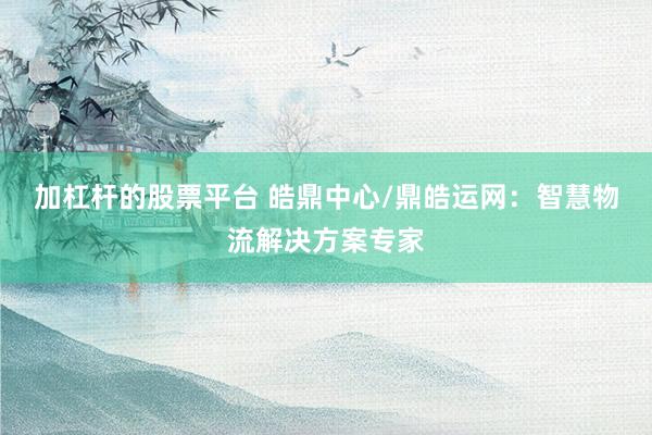 加杠杆的股票平台 皓鼎中心/鼎皓运网：智慧物流解决方案专家