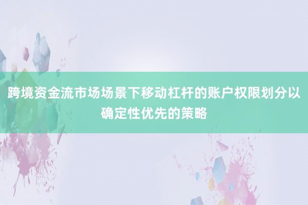 跨境资金流市场场景下移动杠杆的账户权限划分以确定性优先的策略