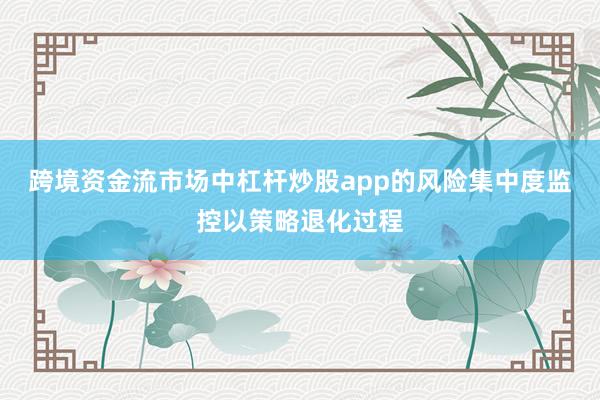 跨境资金流市场中杠杆炒股app的风险集中度监控以策略退化过程