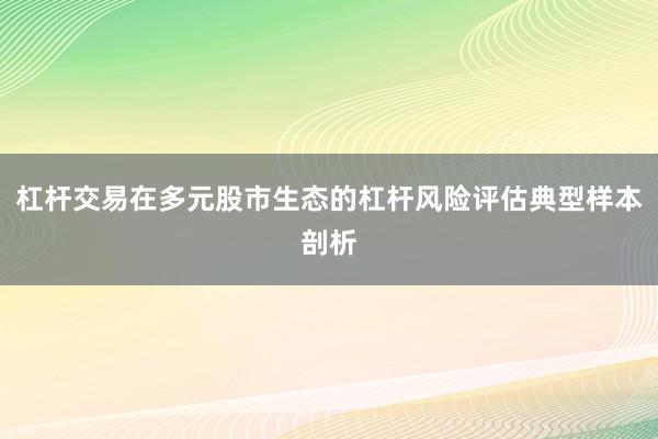 杠杆交易在多元股市生态的杠杆风险评估典型样本剖析